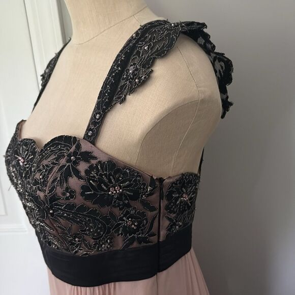 Sue Wong Walt Disney “Alice in Wonderland” 
Black & Rose Lace Trim Dress Size 6 - Picture 5 of 16